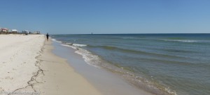 DSCF8788-Pano