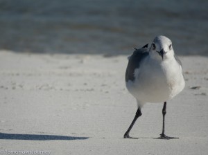 IMG 3278