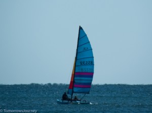 IMG 3294