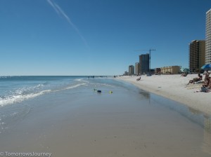 IMG 3317