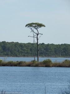 IMG 3607
