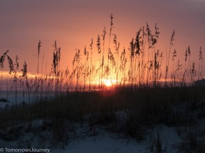 IMG 3669