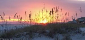 IMG 3670-IMG 3671