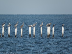 IMG 3726