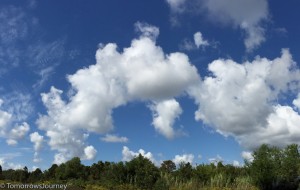 IMG 8834-8837