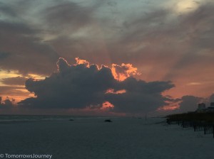 IMG 8905