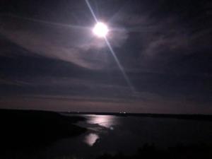 Meridith Lake Moon Shine